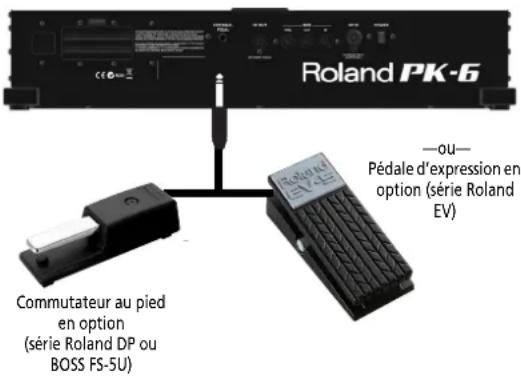 ROLAND PK6 - Connexion d'une PEDALE d'expression/d'un commutateur au pied en option au PK-6 - 1