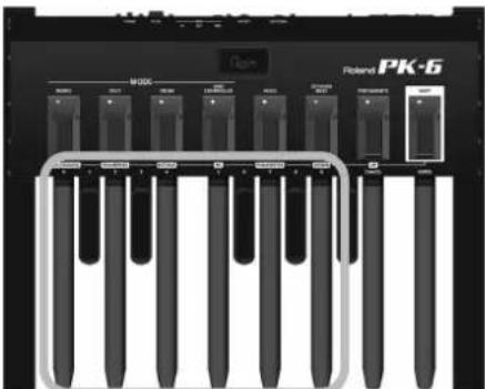 ROLAND PK6 - Nota - 1