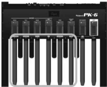 ROLAND PK6 - Opm. - 1