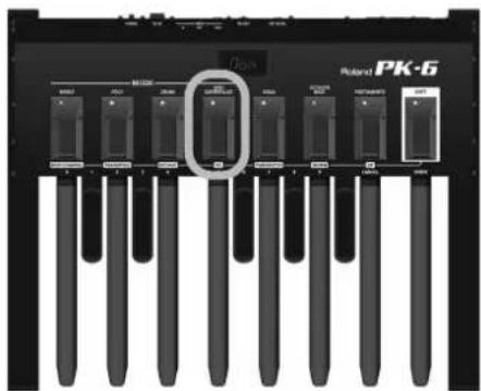 ROLAND PK6 - Remarque - 3