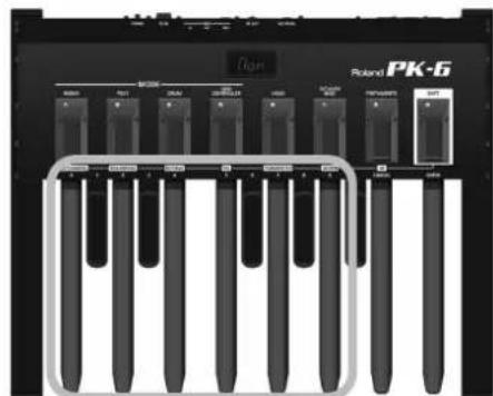 ROLAND PK6 - Canales de transmisión MIDI - 3