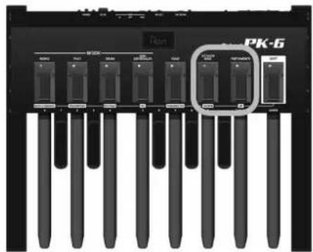 ROLAND PK6 - Anzeige der Batterieladung - 5