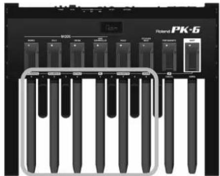 ROLAND PK6 - Nota - 1
