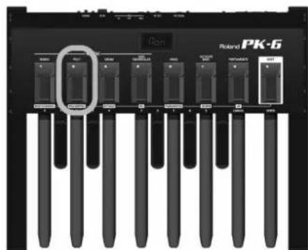 ROLAND PK6 - Mode POLY - 1