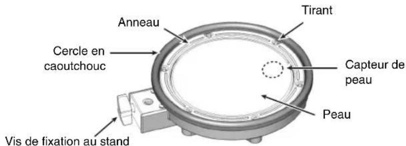 Tirant Anneau Capteur de peau Cercle en caoutchouc Peau Vis de fixation au stand