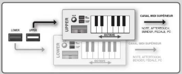 ROLAND PCR500 - Parties inférieure (LOWER) et supérieure (UPPER) - 1
