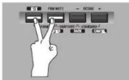 ROLAND PCR500 - Panic - 1