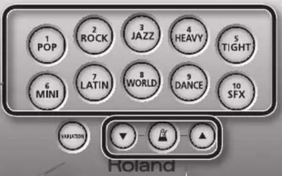 ROLAND HD3 - Botão [VARIATION] - 2