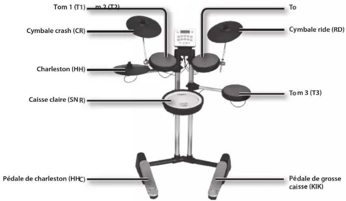 ROLAND HD3 - HD-3 - 1