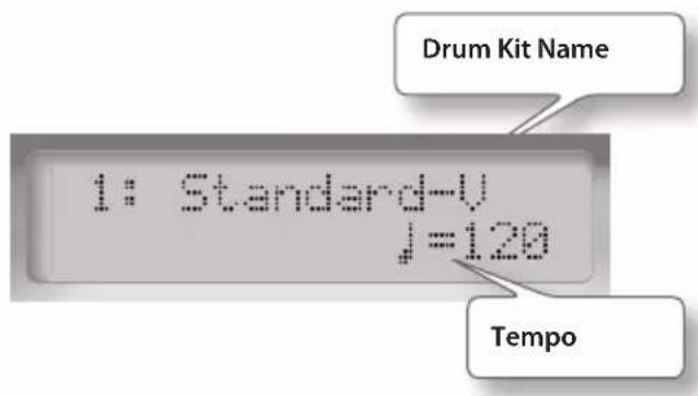 ROLAND HD3 - Display - 1