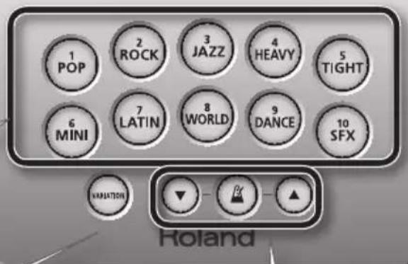 ROLAND HD3 - [VARIATION]-Taste - 2