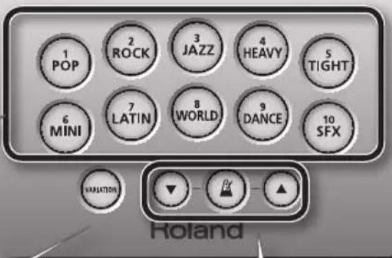 ROLAND HD3 - [VARIATION]-knop - 2