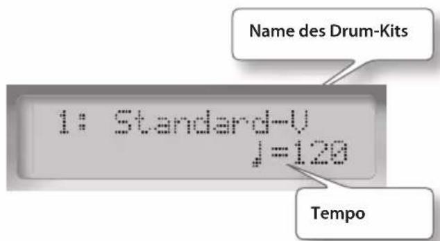 ROLAND HD3 - Display - 1