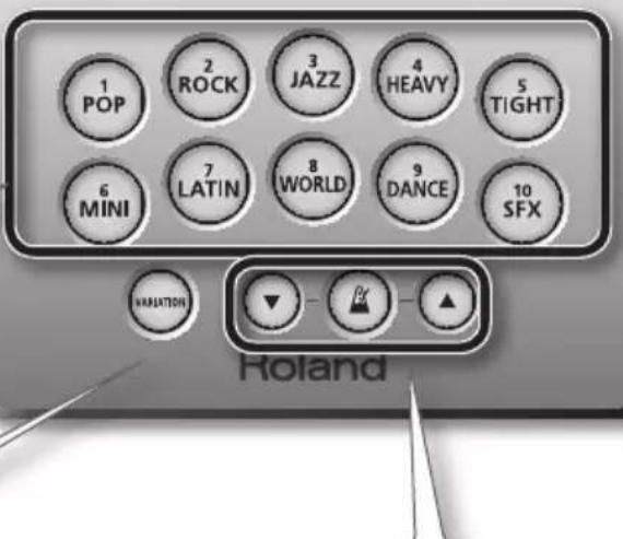 ROLAND HD3 - Bouton [VARIATION] - 2