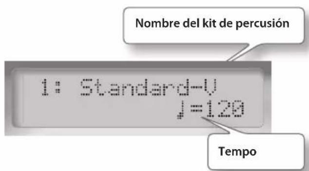 ROLAND HD3 - Pantalla - 1