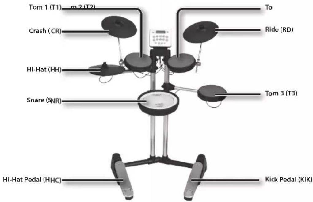 ROLAND HD3 - HD-3 - 1