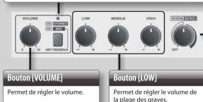 ROLAND Cube Lite Monitor - MIC (MIC, LINE) - 1
