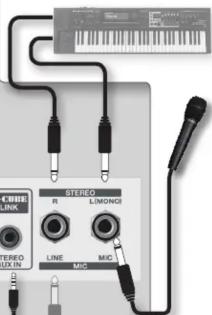 ROLAND Cube Lite Monitor - Prises STEREO/MIC - 1