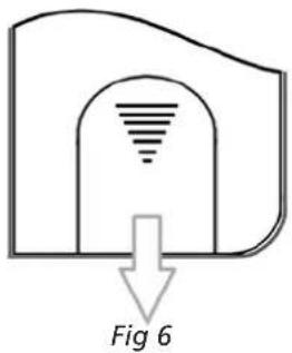 Fig 6