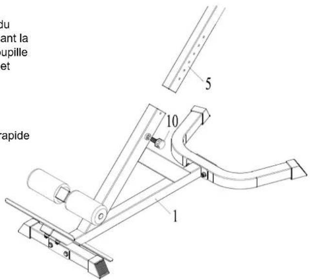 Maxxus Hyperextension - ATTENTION: - 1