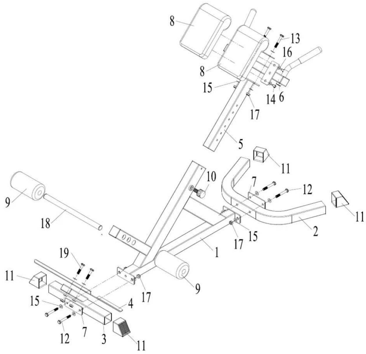 Maxxus Hyperextension - Registrazione degli allenamenti - 1