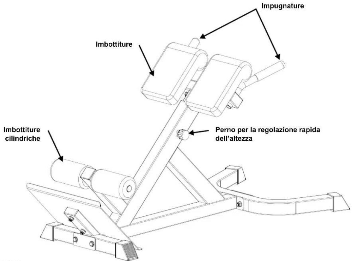 Maxxus Hyperextension - Istruzioni per la sicurezza personale durante l'allenamento - 1