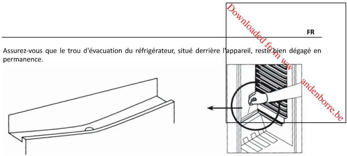 PROLINE TTL 122 P - Dégivrage du réfrigérateur - 1