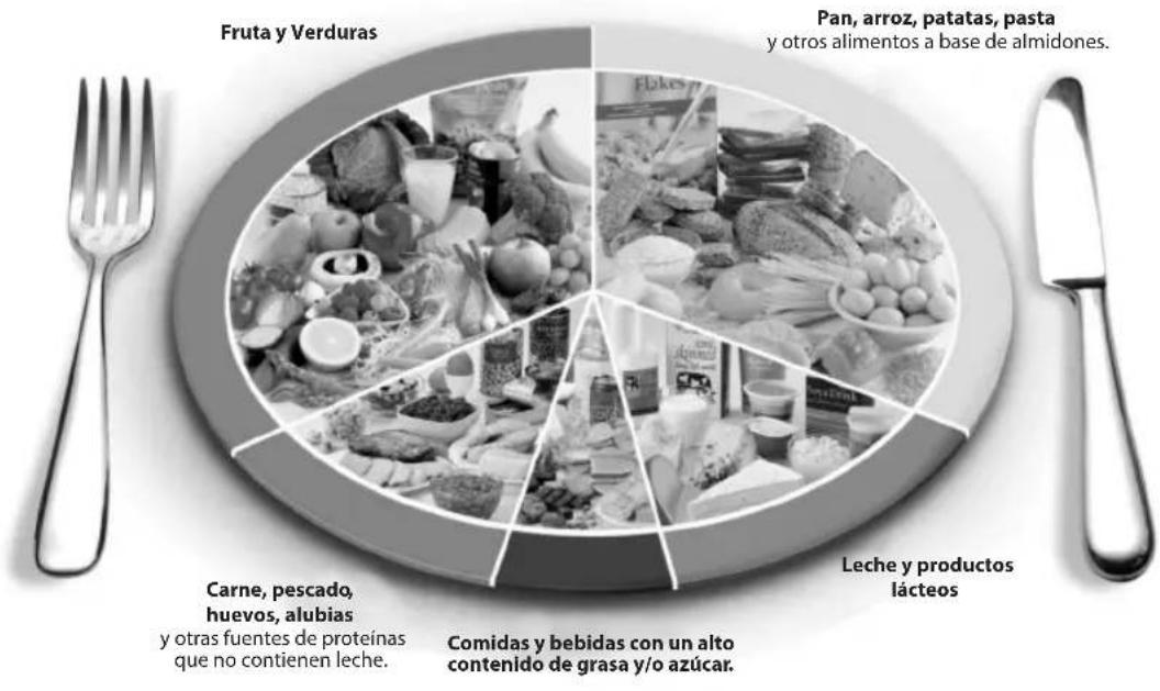 SALTER 1406 - PRODUCTOS LACTEOS 74 - 2