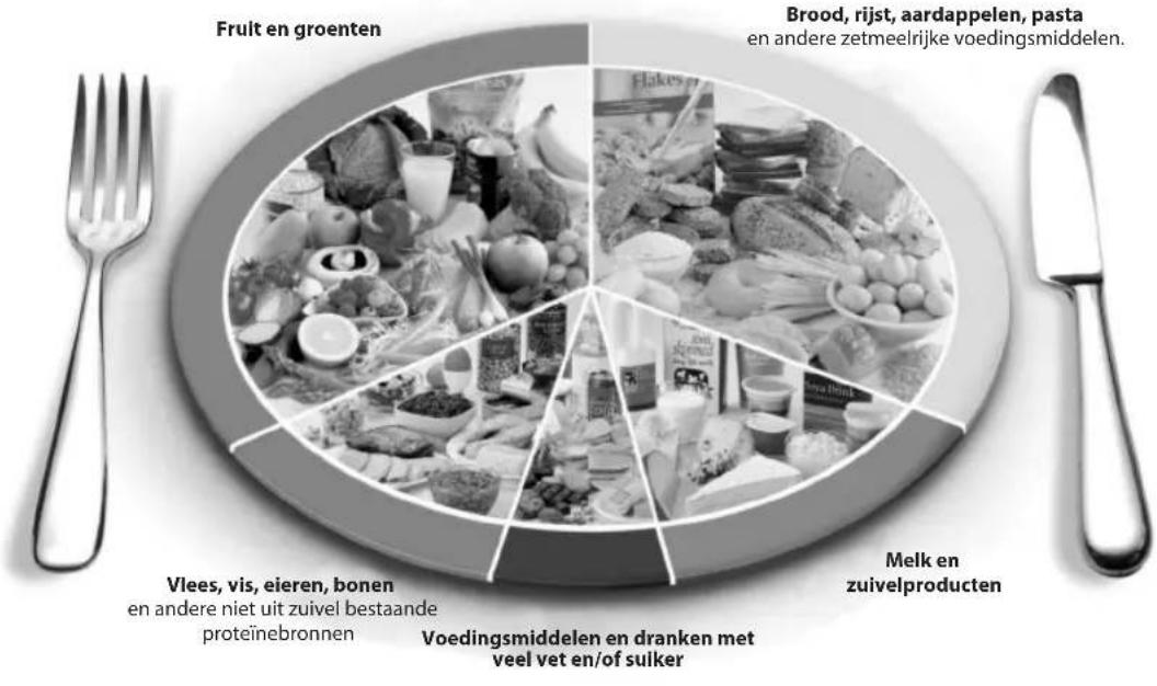 SALTER 1406 - De schijf van vrij - 3