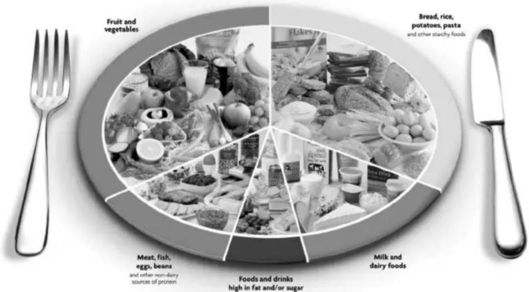 SALTER 1406 - BEANS & PULSES, NUTS & SEEDS - 2