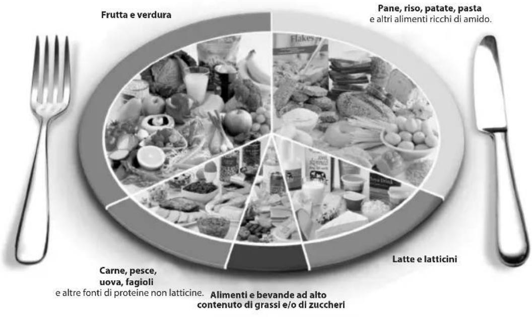 SALTER 1406 - Il piatto 'eatwell' - 3