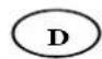 TEAM EM 9 - D - 7