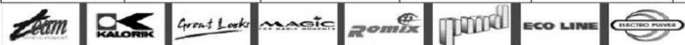 TEAM COG 1 - CONDITII DE GARANTIE - 1
