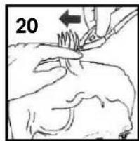 TEAM HC 17 R - C GEBRAUCH DES GERÄTES / HOW TO USE / UTILISATION / GEBRUIK / UTILIZACIÓN / UTILIZAÇÃO / FUNZIONAMENTO / SPOSÓB UŻYCIA / CUM SA-L FOLOSITI / УПОТРЕБА - 13