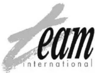 TEAM SIS 1 - DIRETTIVA 2002/96/CE SULLO SMALTIMENTO DI APPARECCHI ELETTRICI ED ELETTRONICI - 2