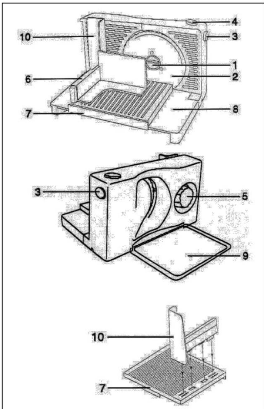 TEAM AS 9 - Fambreira - 1