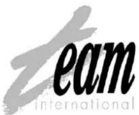 TEAM RK 2 - DIRETTIVA 2002/96/CE PER LO SMALTIMENTO DELLE APPARECCHIATURE ELETTRICHE ED ELETTRONICHE - 2