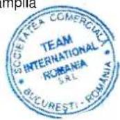 TEAM OT 18 - CERTIFICAT DE GARANTIE TEAM/ROMIX/KALORIK/MAYBAUM/MAGIC/PMD/ECOLINE/ROYAL - 1