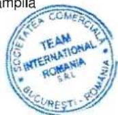 TEAM RC 7 - CERTIFICAT DE GARANTIE TEAM/ROMIX/KALORIK/MAYBAUM/MAGIC/PMD/ECOLINE/ROYAL - 1