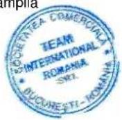 TEAM OT 29 - CERTIFICAT DE GARANTIE TEAM/ROMIX/KALORIK/MAYBAUM/MAGIC/PMD/ECOLINE/ROYAL - 1