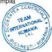 TEAM OT 28 - CERTIFICAT DE GARANTIE TEAM/ROMIX/KALORIK/MAYBAUM/MAGIC/PMD/ECOLINE/ROYAL - 1