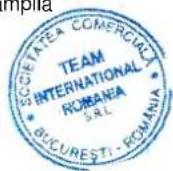 TEAM OT 24 - CERTIFICAT DE GARANTIE TEAM/ROMIX/KALORIK/MAYBAUM/MAGIC/PMD/ECOLINE/ROYAL - 1