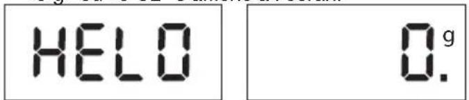 KORONA Wanda - Fonction d'échelle - 1