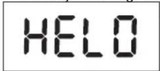 KORONA Wanda - Schaal functie - 1