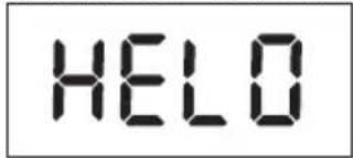 KORONA Wanda - Weighing procedures - 1