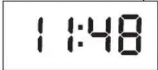 KORONA Wanda - Asettelulla - 8