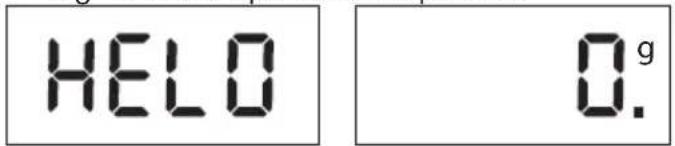 KORONA Wanda - La función de la escala - 1