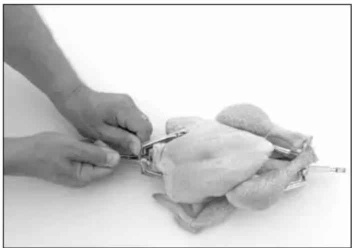 Kitchenware GTMOR06 - PERICOLO - 2