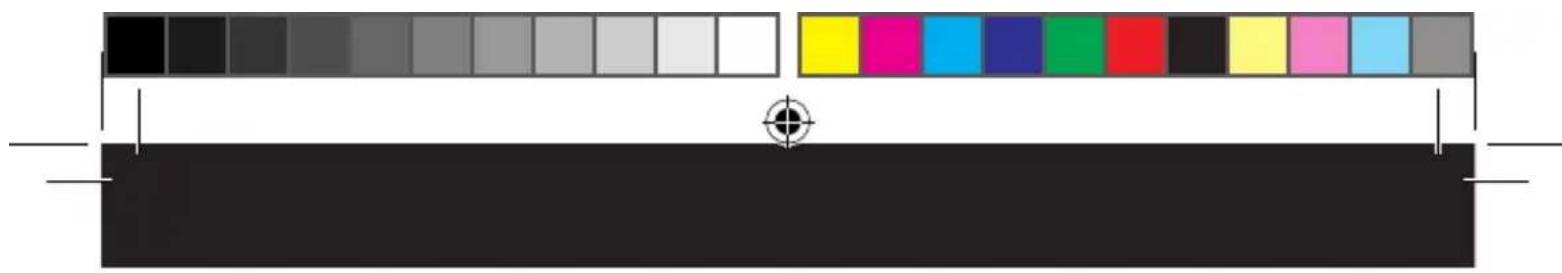 TAURUS Robot Striker Mini - Sfaturi si avertizari privind sigurant - 13