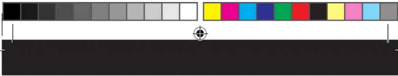 TAURUS Robot Striker Mini - Sfaturi si avertizari privind sigurant - 16